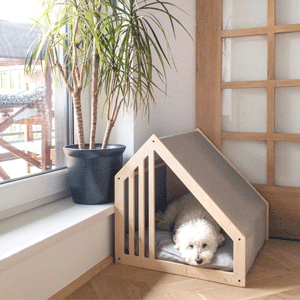 
                        Dog Beds
