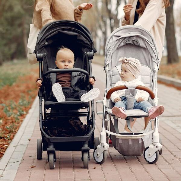 
                        Baby Transport