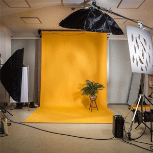 
                        Studio Backgrounds