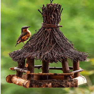 
                        Bird Supplies