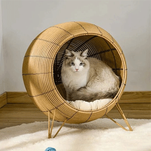 
                        Cat Beds