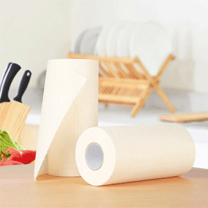 
                        Household Paper Products