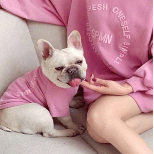 
                        Dog Apparel