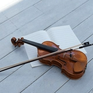 
                        Violins