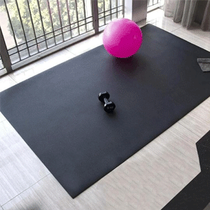 
                        Exercise Equipment Mats