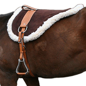
                        Saddles
