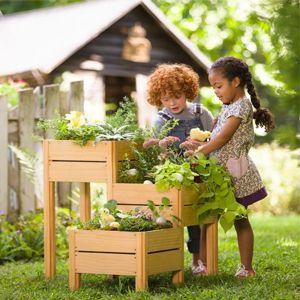 
                        Fruit and Veg Planters