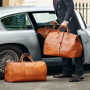 
                        Luggage Accessories