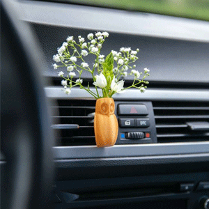 
                        Air Fresheners