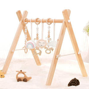 
                        Toys Games and Activity Equipment