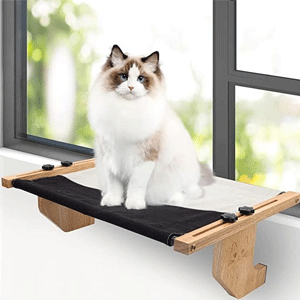 
                        Cat Supplies