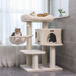 
                        Cat Furniture