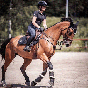 
                        Equestrian