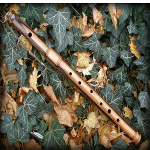 
                        Flutes