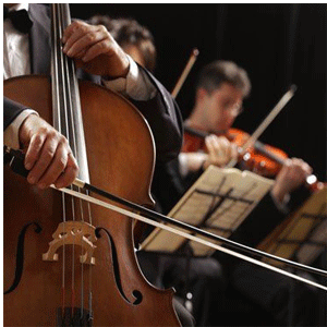 
                        String Instruments