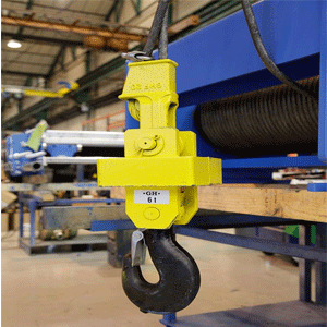 
                        Lifts & Hoists