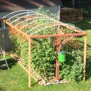 
                        Plant Protection