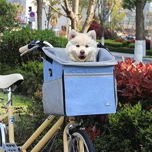 
                        Pet Carriers & Crates