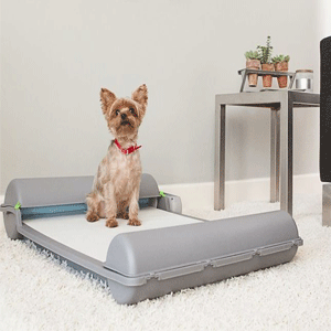 
                        Pet Training Pads